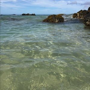 Meet your Posher, Kaila